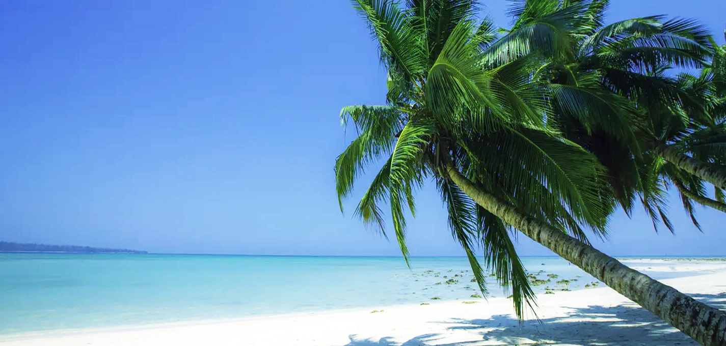Andaman Delight with Neil Island